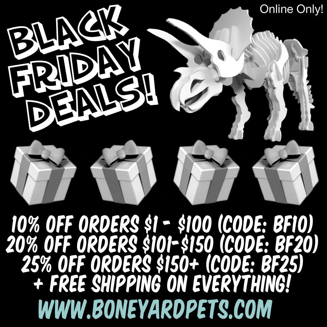 Black Friday / Cyber Monday Weekend Deals!