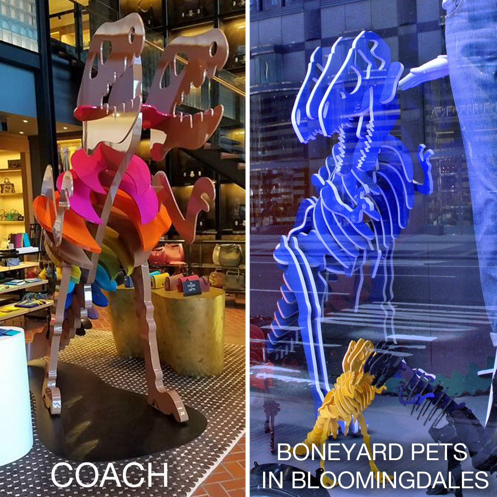 Boneyard Pets and....Coach?!