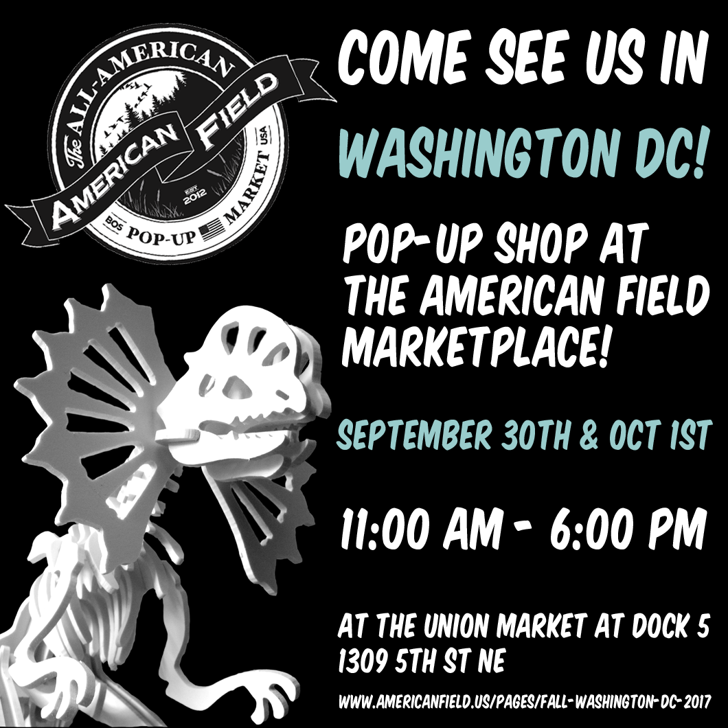 We are going to be in Washington DC this weekend!